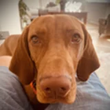 Cooper