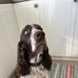 Hera