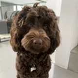 Sam